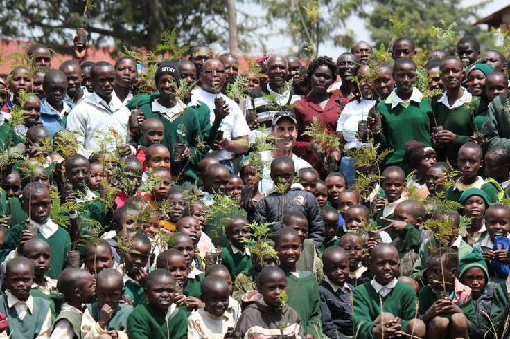 A group of people planting trees